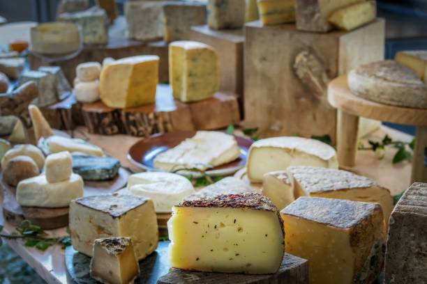 richesse gastronomique des terroirs français